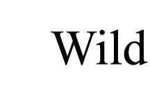 5 Wild Threading and Spa
